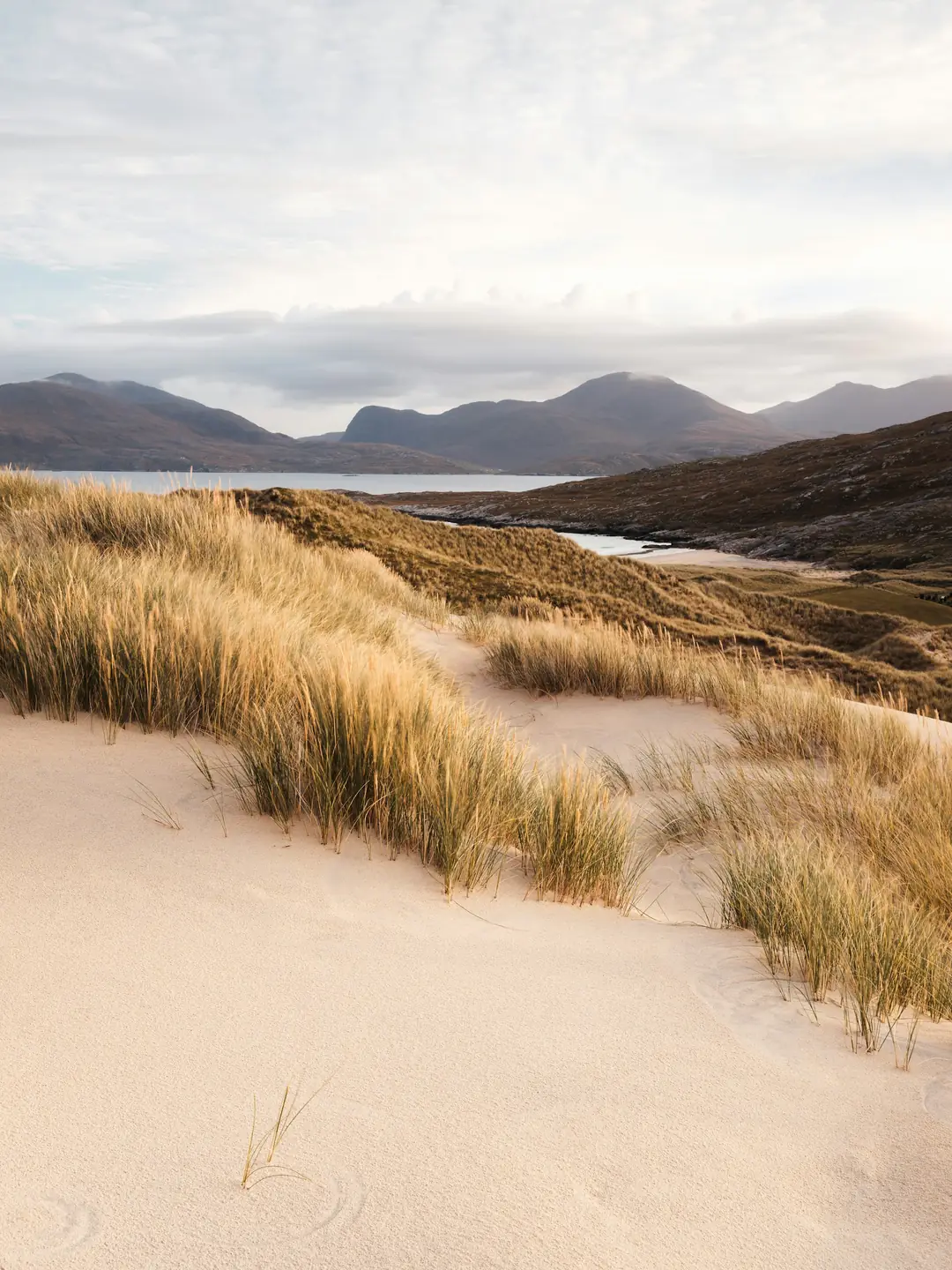 Golden dune grass and shell sand on Harris, with a sea loch and bare hills behind