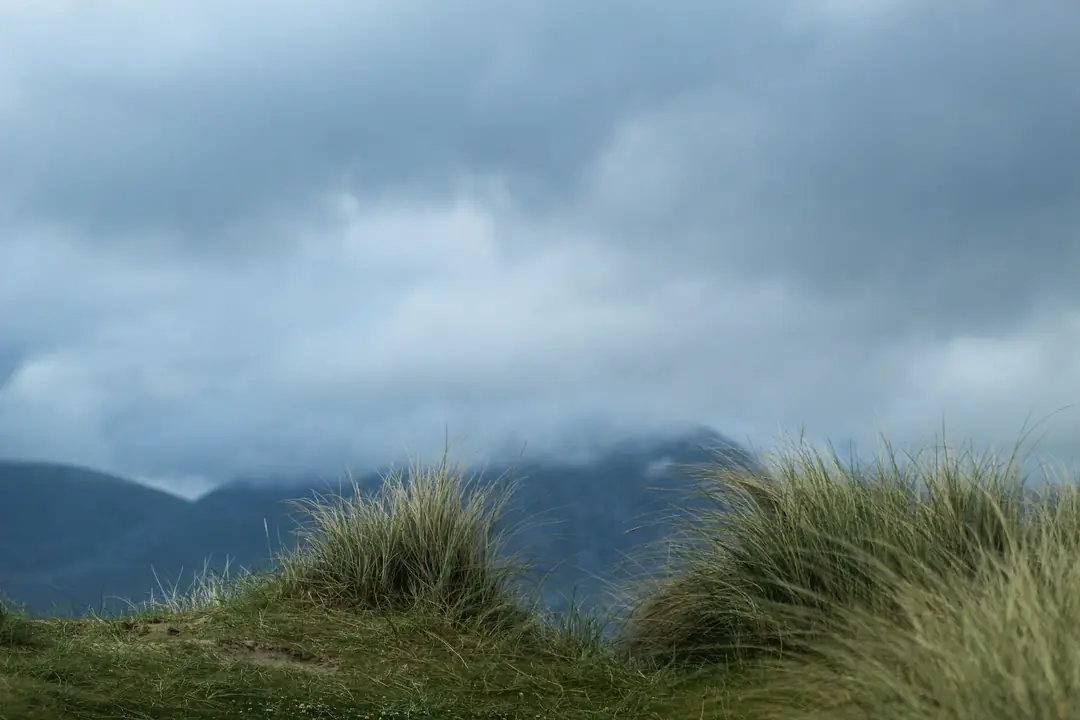 Marram grass on the dunes at Luskentyre with low cloud over the hills of Harris